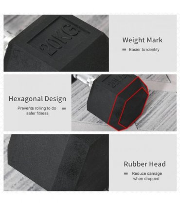 20KG Single Rubber Hex Dumbbell Portable Hand Weights Dumbbell Home Gym HOMCOM
