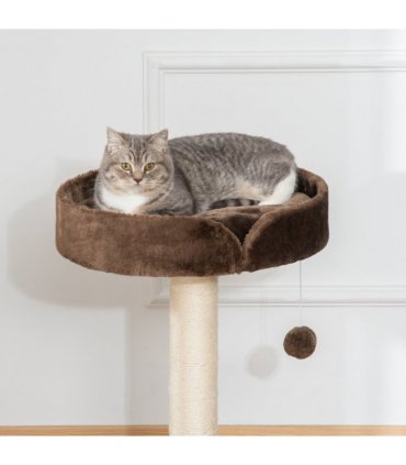 Small Cat Tree for Indoor Cats W/ Sisal Scratching Post Bed Cushion Toy Pawhut