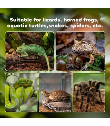 Glass Reptile Terrarium Habitats for Lizards, Frogs, Snake Pawhut