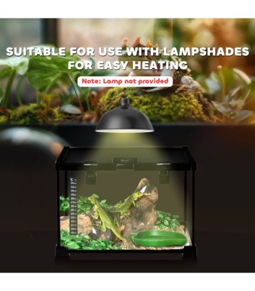 Glass Reptile Terrarium Habitats for Lizards, Frogs, Snake Pawhut