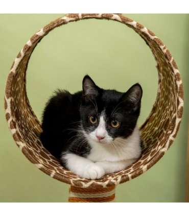 Cat Tree Cute Giraffe Kitten Play Tower W/ Scratching Posts Tunnel Ball Pawhut