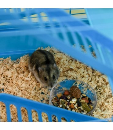 5 Tiers Blue Plastic Hamster Cage Animal Travel Carrier Habitat Kit