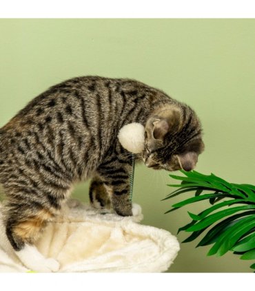 Cat Tree for Indoor Cats w/ Scratching Posts Hammock, Toy Ball - Beige Pawhut