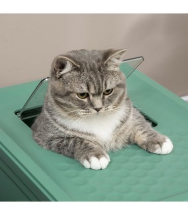 PawHut Hooded Cat Litter Box, Portable Pet Toilet w/ Scoop, Tray - Green