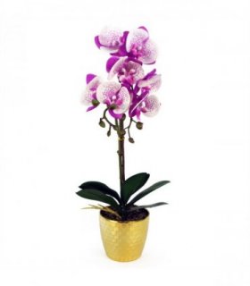Orchid Artificial - Purple / White - Gold Pot - Real Touch - 50cm Height