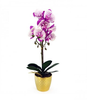 Orchid Artificial - Purple / White - Gold Pot - Real Touch - 50cm Height