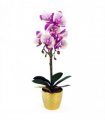 Orchid Artificial - Purple / White - Gold Pot - Real Touch - 50cm Height