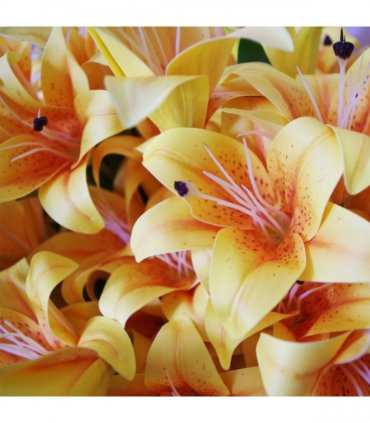12 x 60cm Artificial Lily Stem - Yellow - 144 Flowers