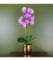 50cm Phalaenopsis Orchid Artificial - Purple / White - Gold Pot