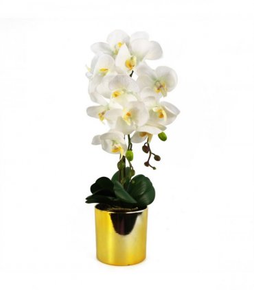 52cm Artificial Orchid Large - White / Gold