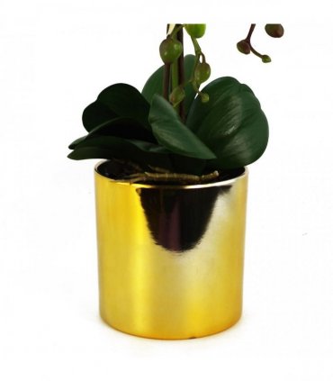 52cm Artificial Orchid Large - White / Gold