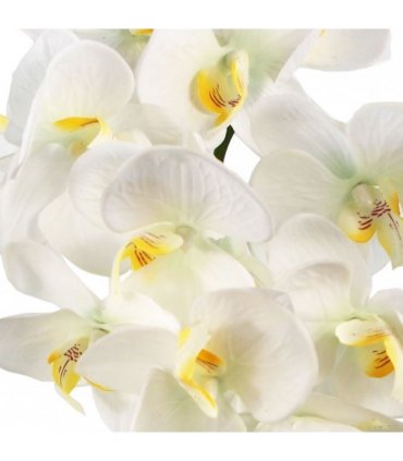 52cm Artificial Orchid Large - White / Gold