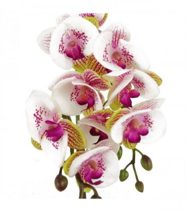 Artificial Harlequin Orchid - Pink with Gold Pot, Real Touch Leaves, 9 Flowers