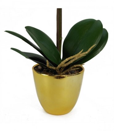 Artificial Harlequin Orchid - Pink with Gold Pot, Real Touch Leaves, 9 Flowers
