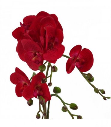 Artificial Orchid - Red Leopard - Gold Pot - Real Touch Leaves - 50cm Height