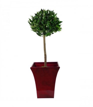 Artificial Bay Tree Green 90cm Real Wood Trunks Adjustable Stems Lifelike Leaves