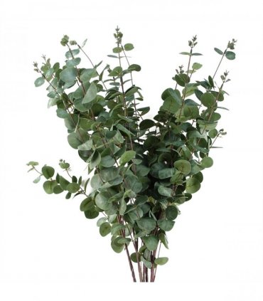 Pack of 6 x 100cm Artificial Eucalyptus Foliage