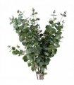 Pack of 6 x 100cm Artificial Eucalyptus Foliage
