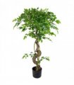 Artificial Japanese Ficus Tree 120cm Twisted Trunk Green Leaf Design 2kg Weight