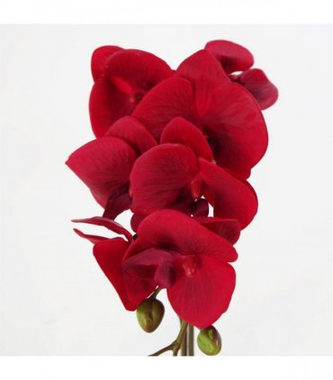 46cm Artificial Orchid Red with Silver Pot