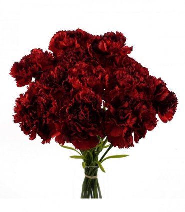 12 x Red Carnation Artificial Flowers