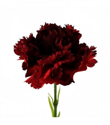 12 x Red Carnation Artificial Flowers