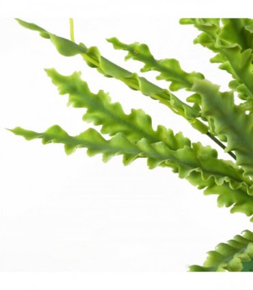 12 x 40cm Artificial Crocodile Fern Plant