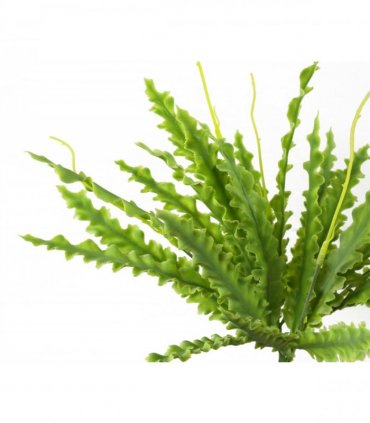 12 x 40cm Artificial Crocodile Fern Plant