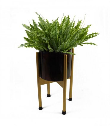 12 x 40cm Artificial Crocodile Fern Plant