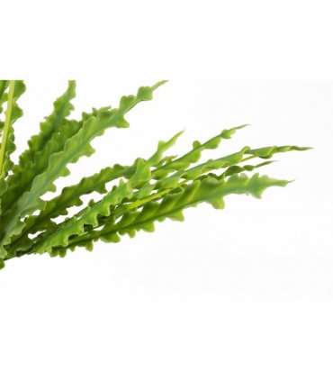 12 x 40cm Artificial Crocodile Fern Plant