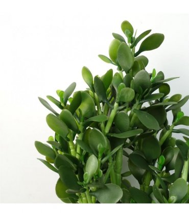 Artificial Deluxe Green Jade Plant 75cm Large Hyper Realistic Weighted Pot