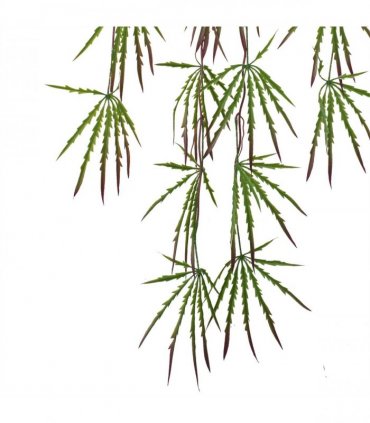 Artificial Hanging Acer Spider Plant 100cm Pack of 12 - Green Plastic Leaves