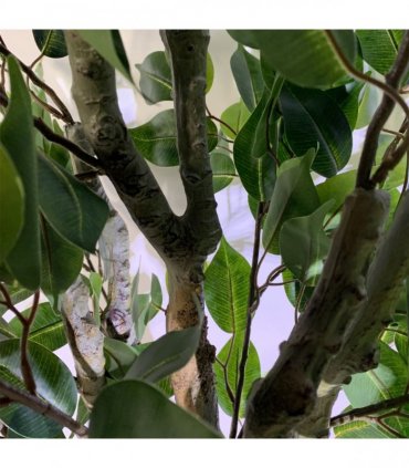 100cm Premium Artificial Ficus Twist Tree Gold Curve Planter