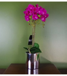 52cm Artificial Orchid Large - Dark Pink / Silver