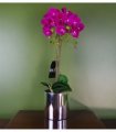 52cm Artificial Orchid Large - Dark Pink / Silver