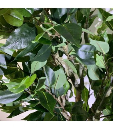 100cm Leaf Realistic Artificial Ficus Tree / Plant Bush Ficus Gold Planter