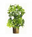 Artificial Arboricola Gold Capella Plant - Gold Metal Planter 75cm Green Yellow