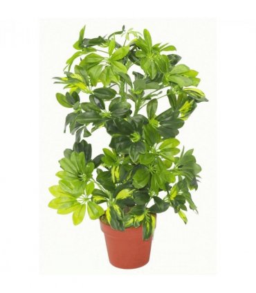 Artificial Arboricola Gold Capella Plant - Gold Metal Planter 75cm Green Yellow