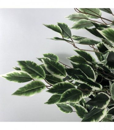 Ficus Tree 130cm Tall Variegated White/Green Bushy Artificial Tree Wood Trunk