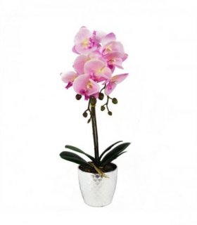 50cm Phalaenopsis Orchid Artificial - Light Pink Silver