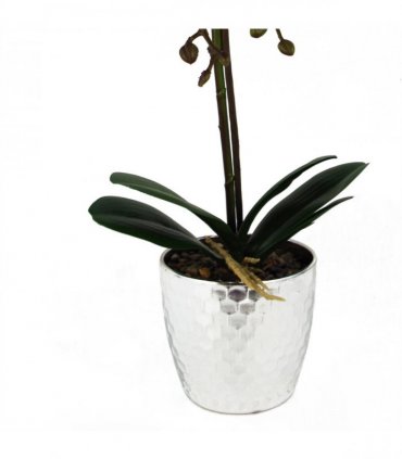 50cm Phalaenopsis Orchid Artificial - Light Pink Silver