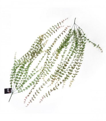 Artificial Hanging String of Pearls 120cm Green Plastic Pack of 12 Plants