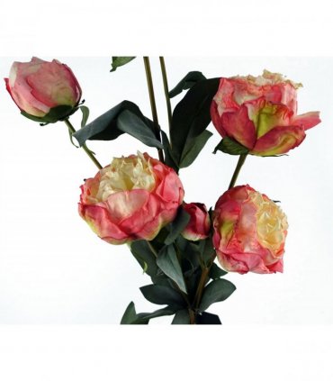 6 x 55cm Pink Peony Artificial Flower Stems - 24 flowers 18 buds