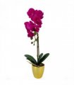 46cm Artificial Orchid Dark Pink / Gold