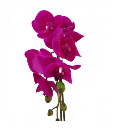 46cm Artificial Orchid Dark Pink / Gold