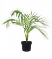 50cm Artificial Palm Tree Plant - Compact Shape