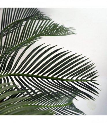 Artificial Tropical Cycas Palm Plant 80cm Green Fronded Leaves Realistic Trunk
