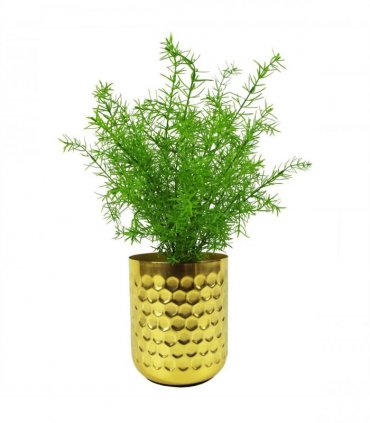 6 x 45cm Artificial Asparagus Fern Plant