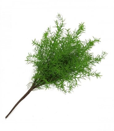 6 x 45cm Artificial Asparagus Fern Plant