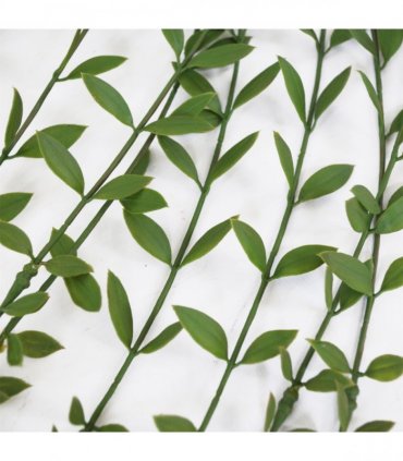Artificial Hanging String of Pearls Green 120cm Pack of 12 Plastic Leaves Vines